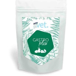 Bunny GoVet Gastroplex 325g mangime complementare